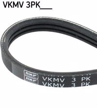 SKF - CORREIA Pistas