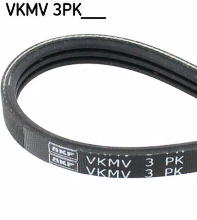 SKF - CORREIA Pistas