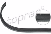 TOP - CORREIA Pistas 6PK2050