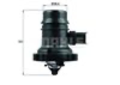 MAHLE - TERMOSTATO 7246.103