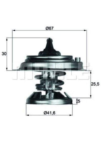 MAHLE - TERMOSTATO 5699.85