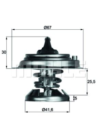 MAHLE - TERMOSTATO 5699.85