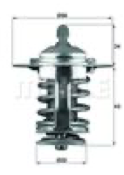 MAHLE - TERMOSTATO 6295.82