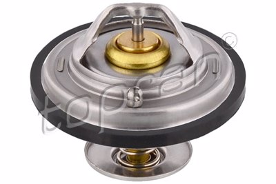 TOP - TERMOSTATO 5973.87