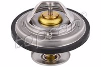 TOP - TERMOSTATO 5973.87