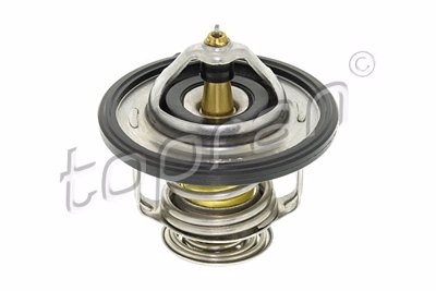 TOP - TERMOSTATO 6319.85