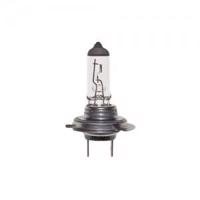 HELLA - LAMPADA Jg. (  H7 ( 24v