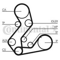CONTI - KIT Dist. ( VKMA04106