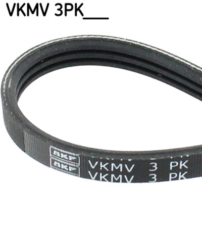 SKF - CORREIA Pistas