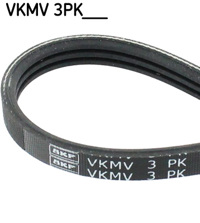 SKF - CORREIA Pistas