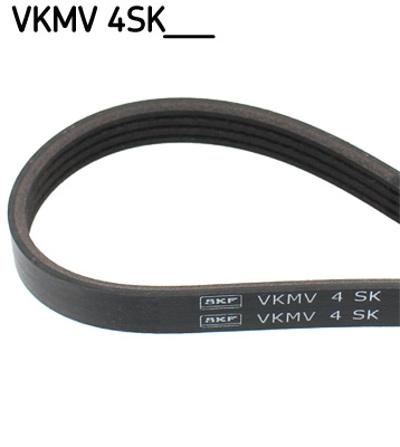 SKF - CORREIA Pistas Elast.