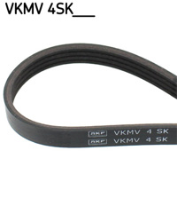 SKF - CORREIA Pistas Elast.