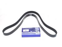 LANDROVER - CORREIA Pistas  7PK1595