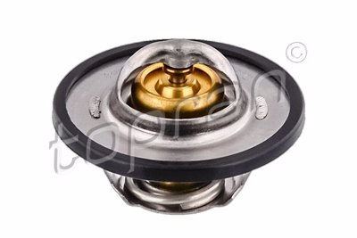 TOP - TERMOSTATO 6045.89
