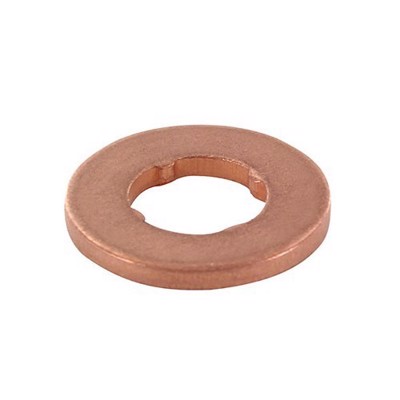 BMW - ANILHA Injector (