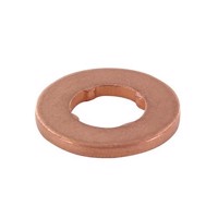 BMW - ANILHA Injector (