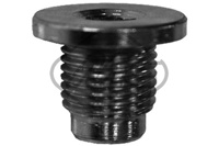 MC - BUJAO Motor