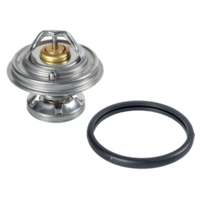 FEBI - TERMOSTATO 5699.85