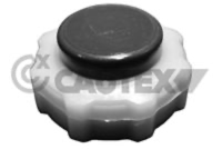 CAUTEX - TAMPAO Liq. Refrig. 03514