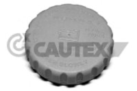CAUTEX - TAMPAO Liq. Refrig. 03507