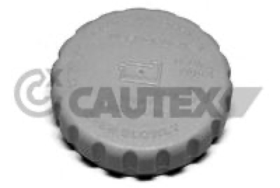 CAUTEX - TAMPAO Liq. Refrig. 03507