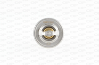 OPEN - TERMOSTATO 6276.87