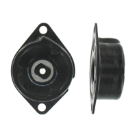 SKF - ROLAMENTO Tensor