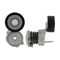 SKF - ROLAMENTO Tensor