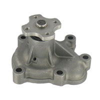 SKF - BOMBA Agua ( PA7207
