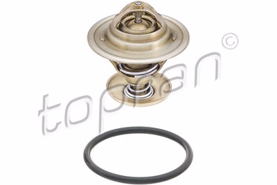 TOP - TERMOSTATO 1439.80