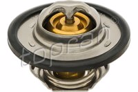 TOP - TERMOSTATO 6047.89