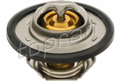 TOP - TERMOSTATO 6047.89