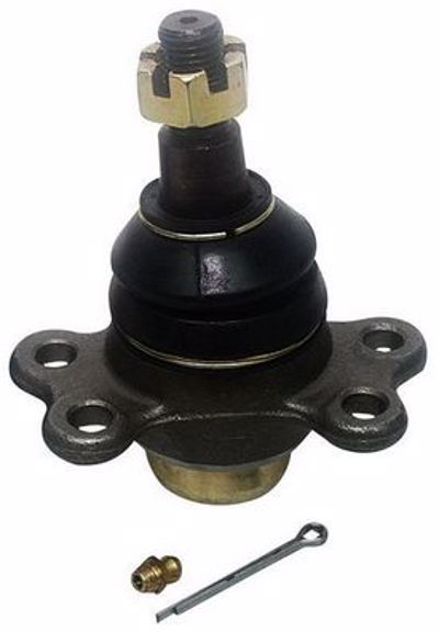 555 - ROTULA Susp. ( ADZ98601