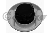 CAUTEX - TAMPA Oleo Motor 03684