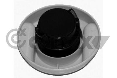 CAUTEX - TAMPA Oleo Motor 03684