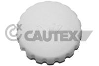 CAUTEX - TAMPA Oleo Motor 03682