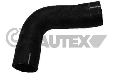 CAUTEX - TUBO Radiador 09541