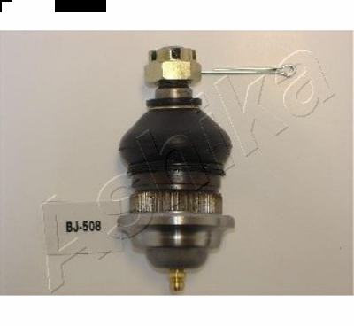 JAP - ROTULA Susp. ( ADC48606