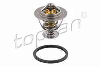 TOP - TERMOSTATO 6295.82