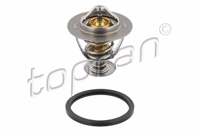 TOP - TERMOSTATO 6295.82