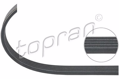 TOP - CORREIA Pistas 5 PK 1219