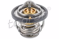 TOP - TERMOSTATO 6484.82