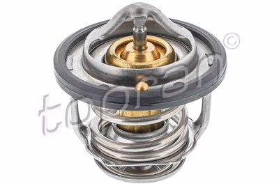 TOP - TERMOSTATO 6484.82