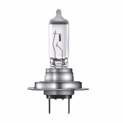 AMOLUX - LAMPADA   12v 55w   H7