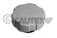 CAUTEX - TAMPAO Liq. Refrig. 03920