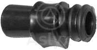ASLYX - CASQUILHO Barra Estab.02701