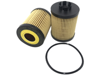 SARDES - FILTRO Oleo OX173