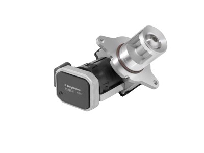 BorgWARNER - VALVULA EGR