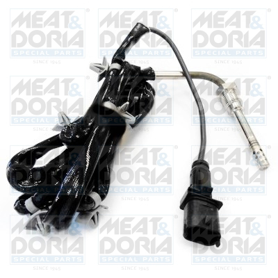MEAT-DORIA - SENSOR Temp. Gases (