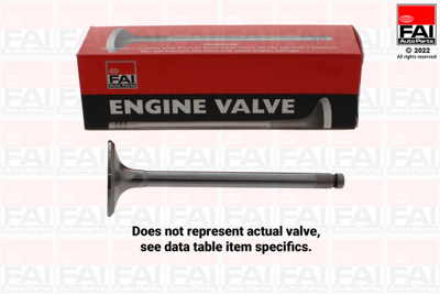 FAI - VALVULA Motor Admissao